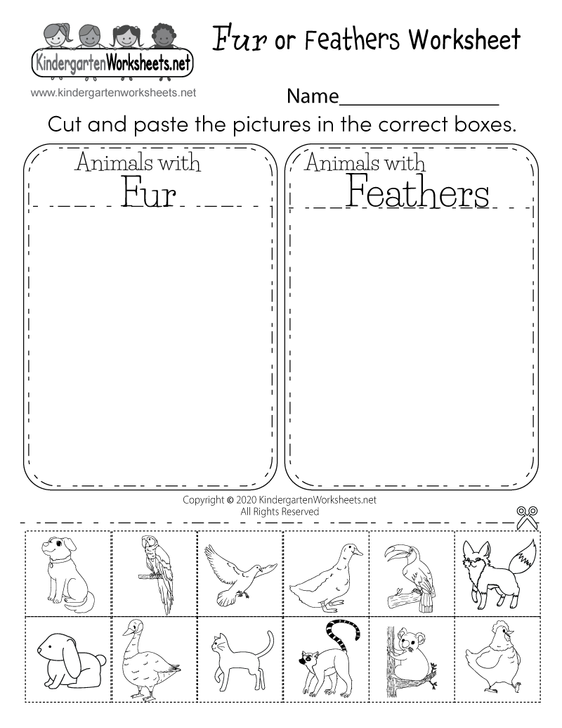 Free Printable Kindergarten Science Worksheets Printable Templates