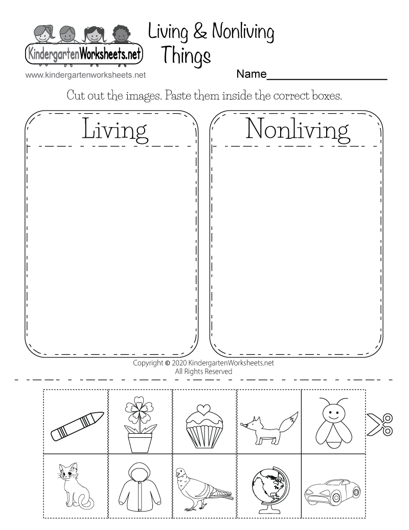 Free Printable Life Science Worksheet for Kindergarten