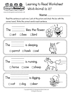 Free Kindergarten Reading Worksheets - Understanding The Names Of Objects.