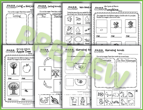 Life Cycles - Science Worksheets Preview