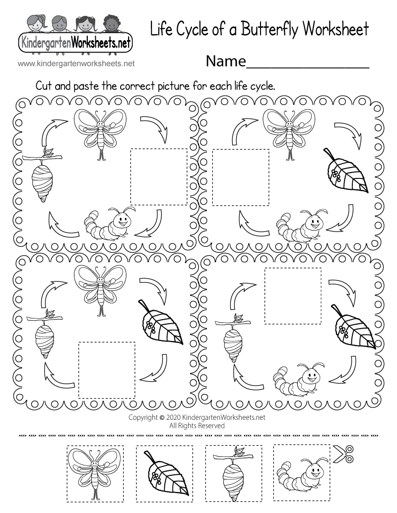 life-cycle-of-a-butterfly-for-kids-worksheet-isquu